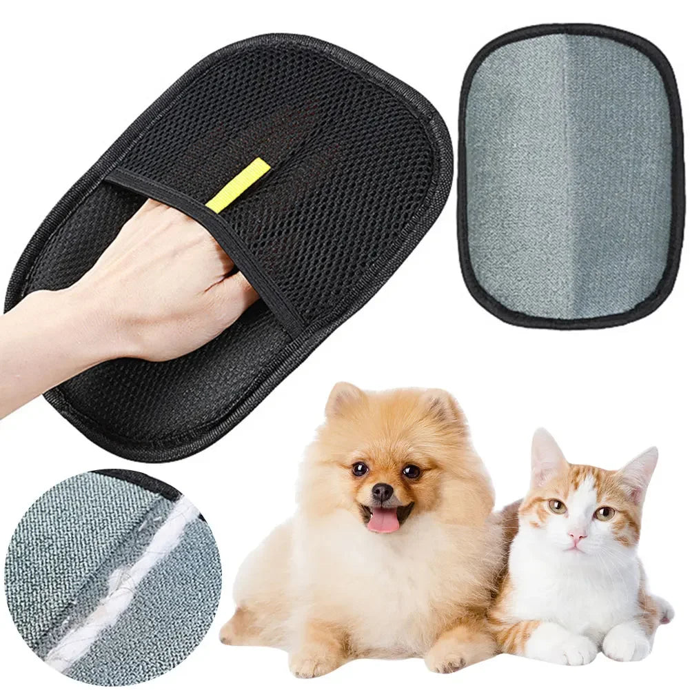 Pack Anti-Pelo — Cepillo + Guante Quitapelos para Gatos y Perros 🐱🐶