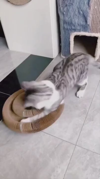 Rascador Plegable Interactivo para Gatos con Pelota
